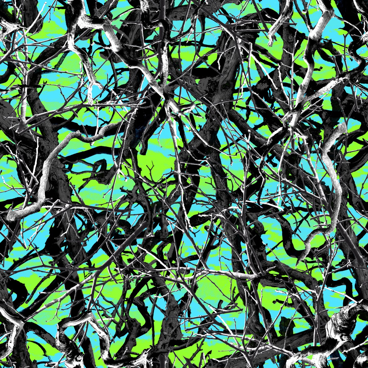 COLOR / PRINT OPTIONS