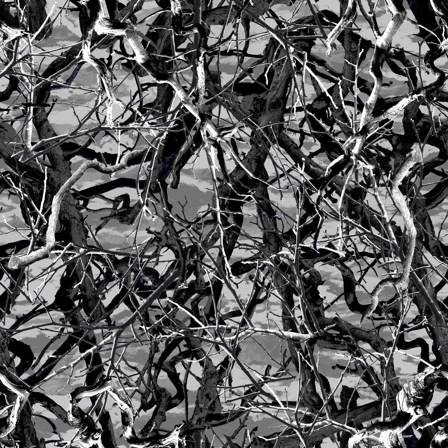 COLOR / PRINT OPTIONS