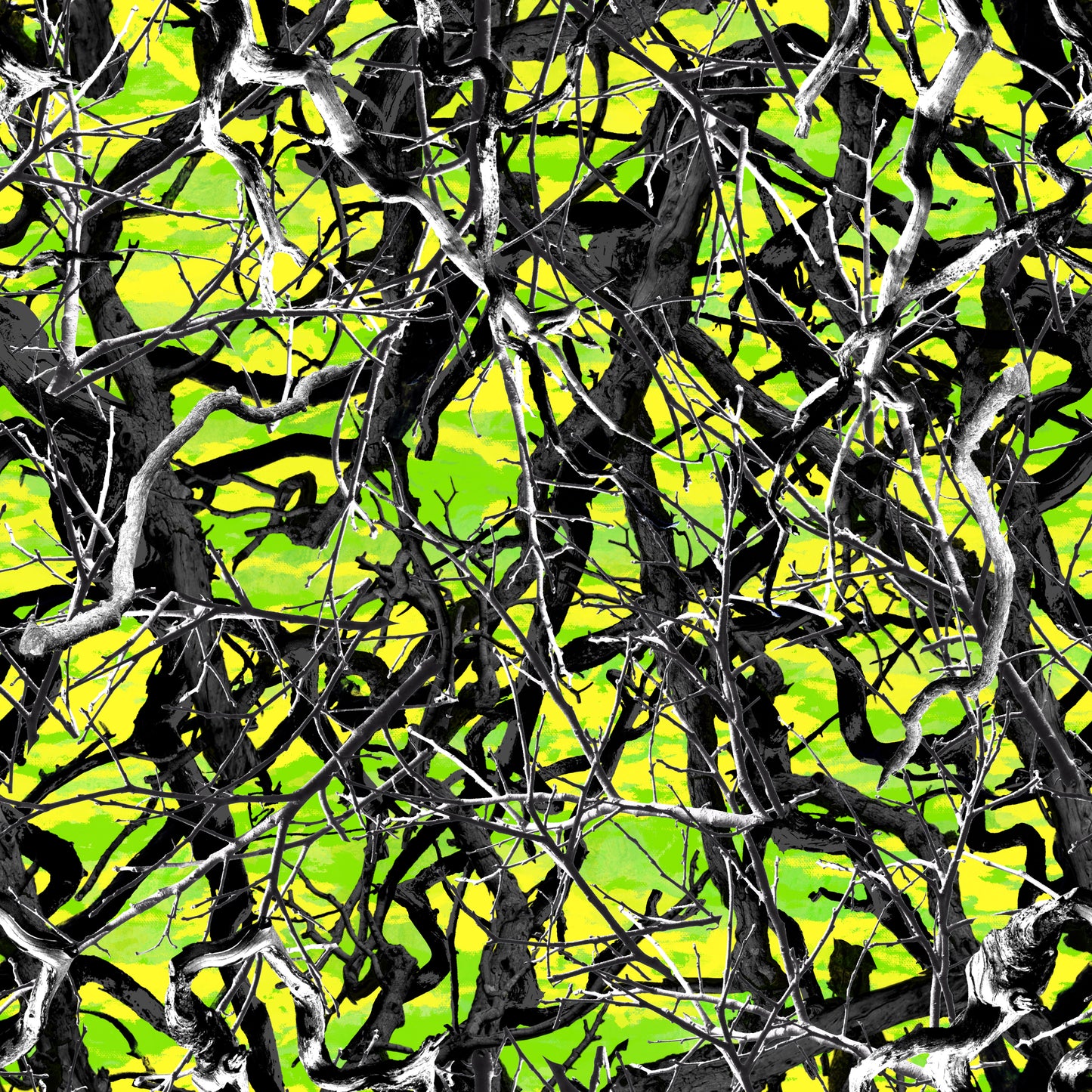 COLOR / PRINT OPTIONS