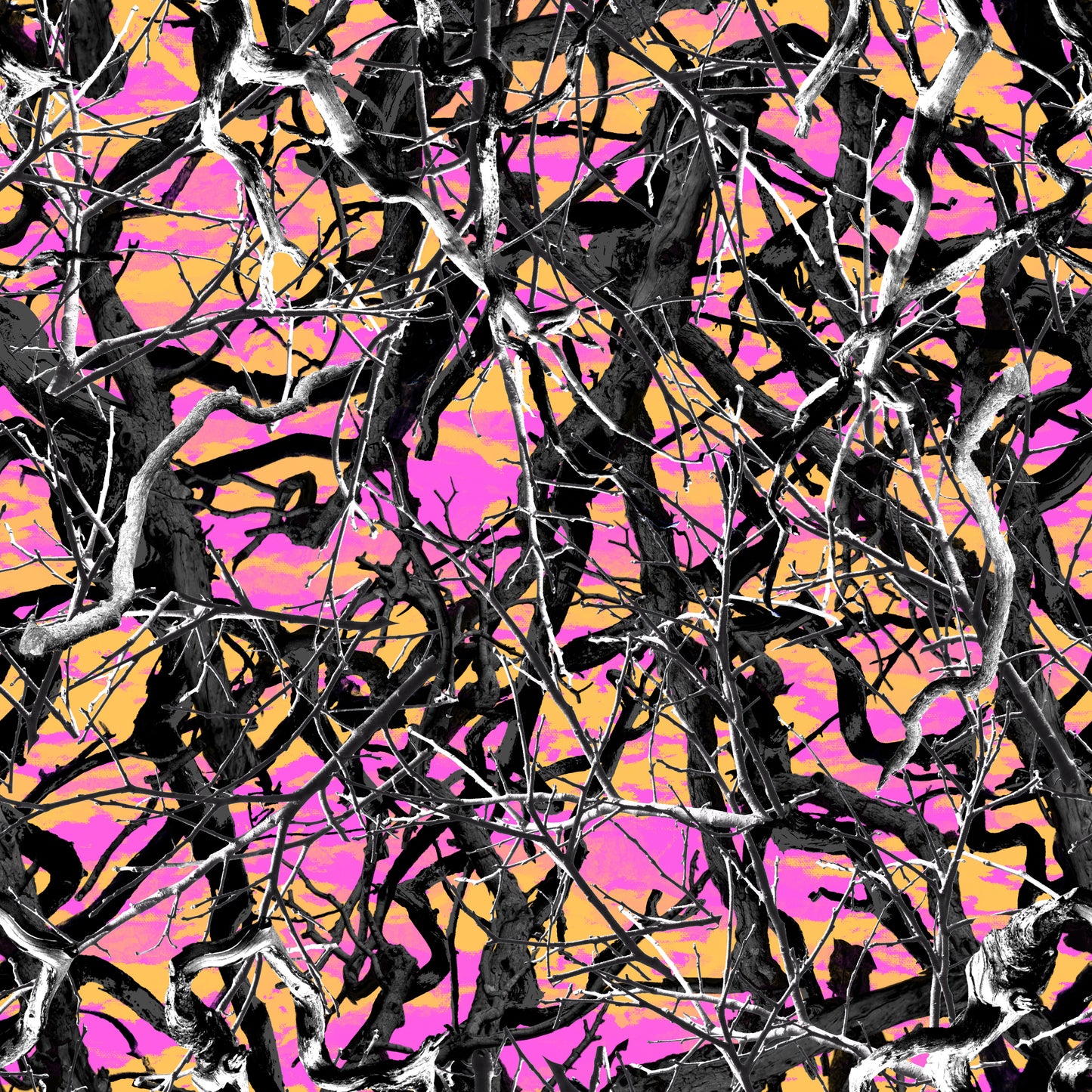 COLOR / PRINT OPTIONS